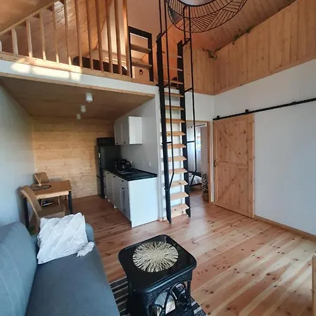 Domki Letniskowe Lesne Spa Borsk Nad Jeziorem Wdzydzkim Basen Sauna Balia Exterior photo