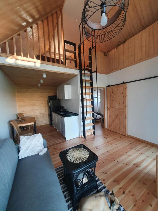 Letniskowe Lesne Nad Jeziorem Wdzydzkim Basen Sauna Balia