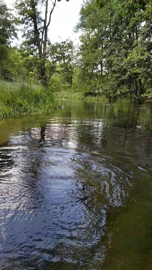 Letniskowe Lesne Nad Jeziorem Wdzydzkim Basen Sauna Balia *